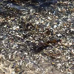 בית נופש Seaside Charm In Binderup-by Traum